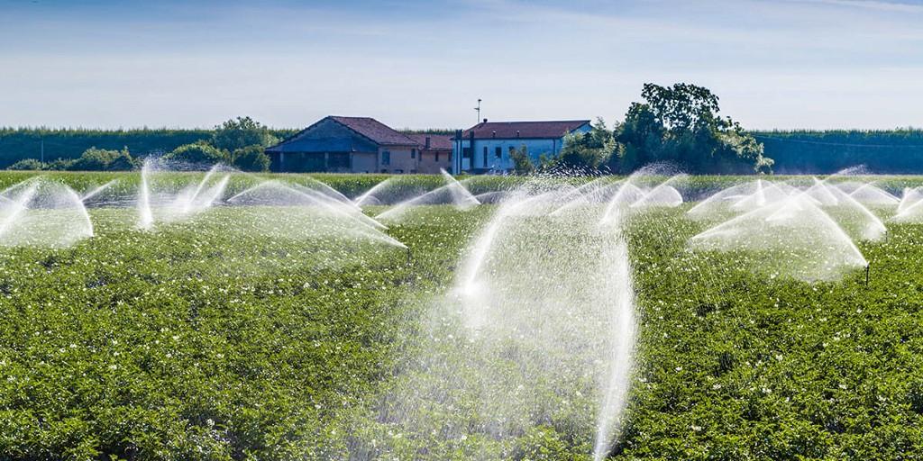 Irrigation System Dreamstime