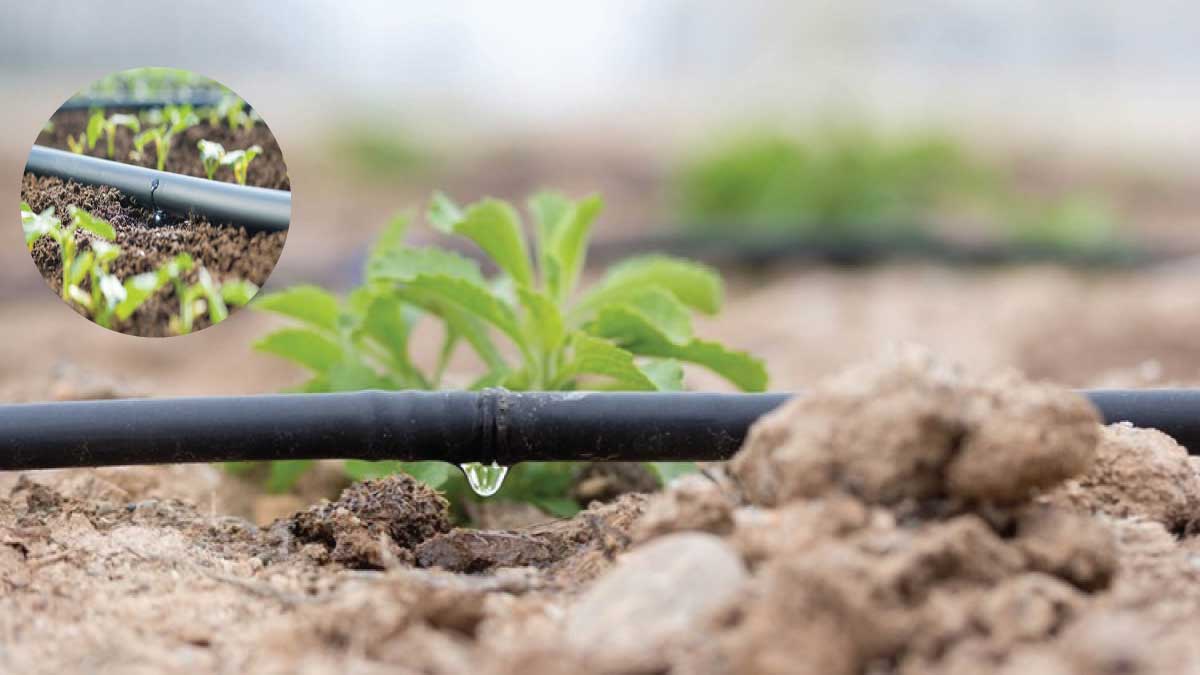 drip irrigation types of irrigation