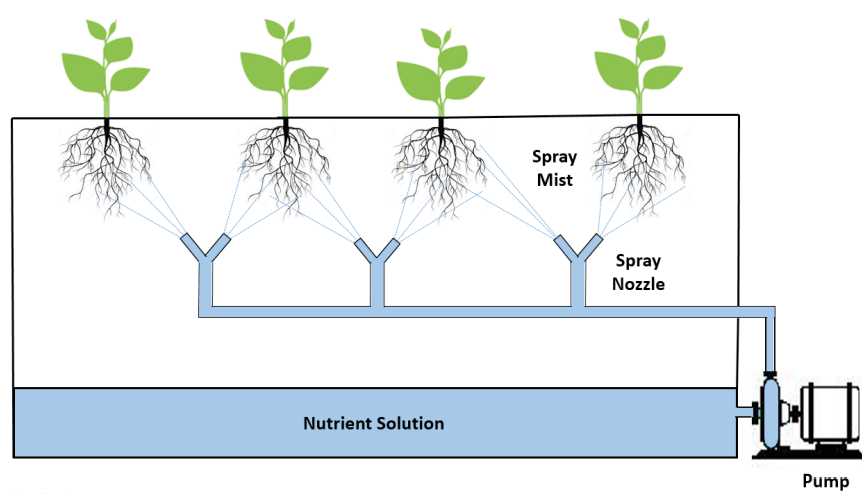 Aeroponic type Vertical Farm