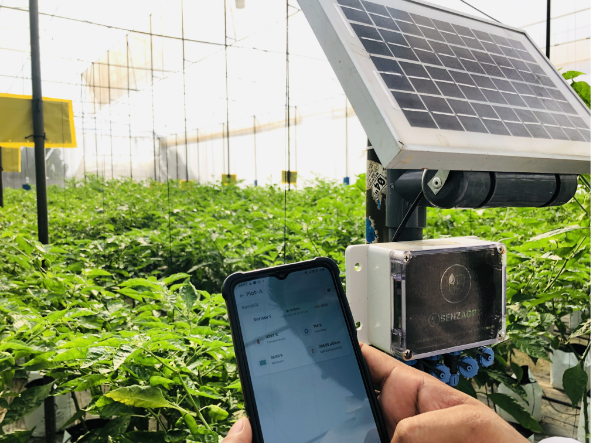 SOLAR-POWERED IRRIGATION SYSTEMS: A LIFE-CHANGING TECHNOLOGY