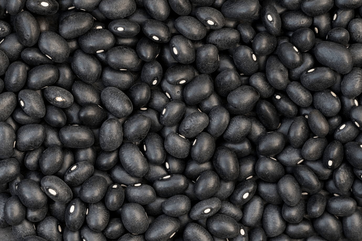 Black Gram
