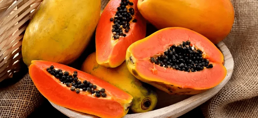 Papaya