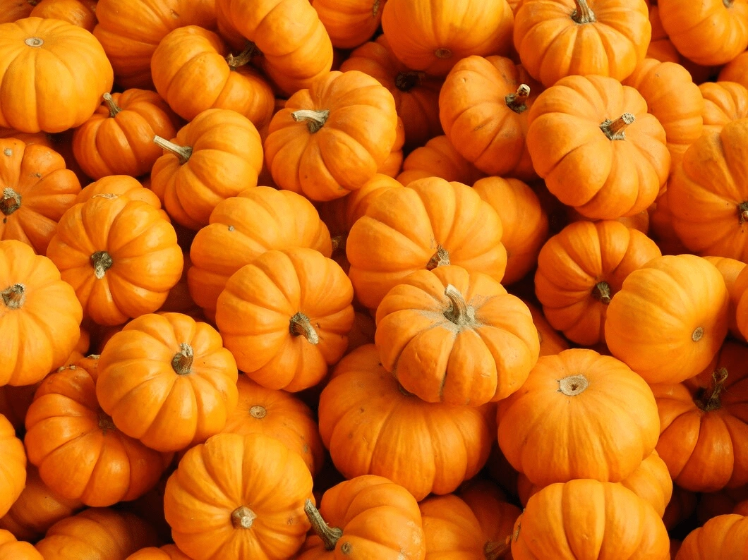 Pumpkin