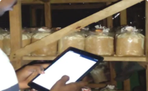 Yield and stock management on mobile